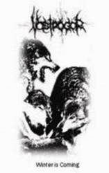 Vostrogor : Winter Is Coming